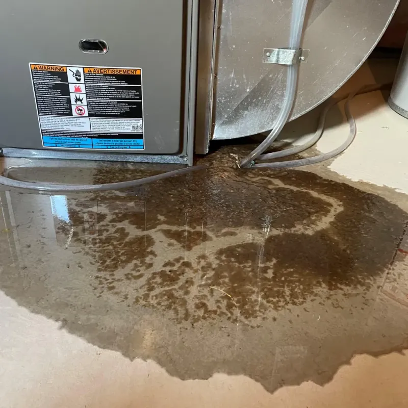 Appliance Leak Cleanup in Concord, AL