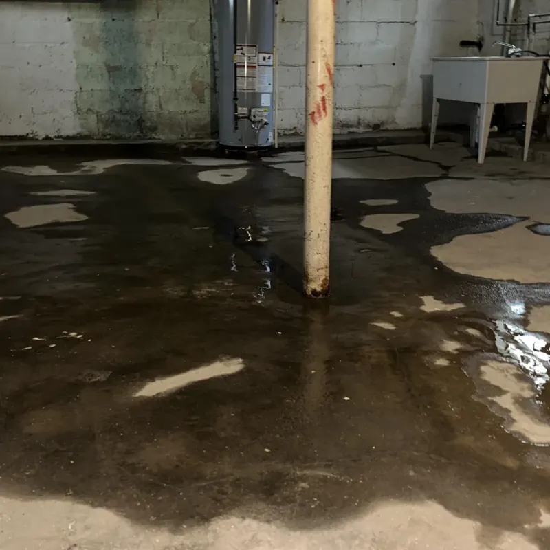 Emergency Water Extraction And Removal in Concord, AL